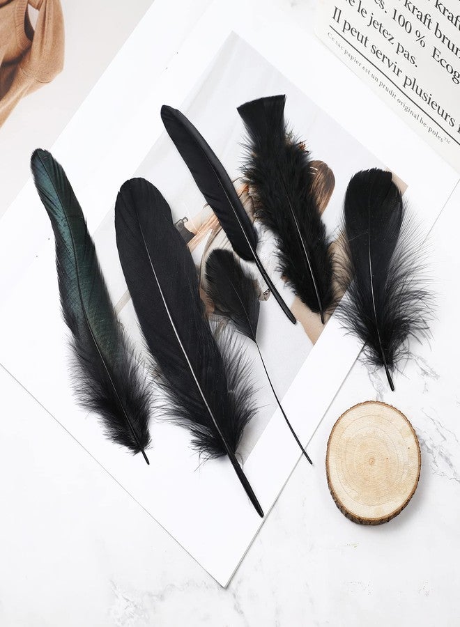 Larryhot Black Craft Feathers Bulk - 240pcs 6 Style Mixed Natural Feathers for Wedding Home Party, Dream Catcher Supplies and DIY Crafts (Black) - Image 2