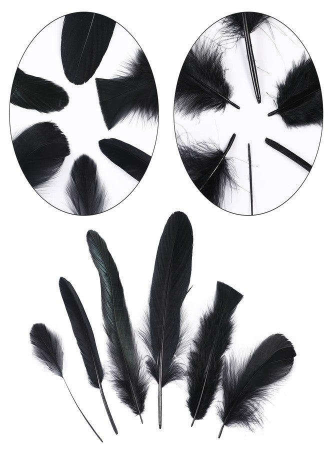 Larryhot Black Craft Feathers Bulk - 240pcs 6 Style Mixed Natural Feathers for Wedding Home Party, Dream Catcher Supplies and DIY Crafts (Black) - Image 3
