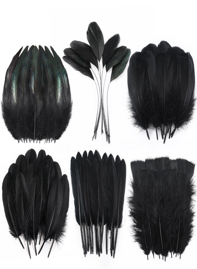 Larryhot Black Craft Feathers Bulk - 240pcs 6 Style Mixed Natural Feathers for Wedding Home Party, Dream Catcher Supplies and DIY Crafts (Black) - Image 1