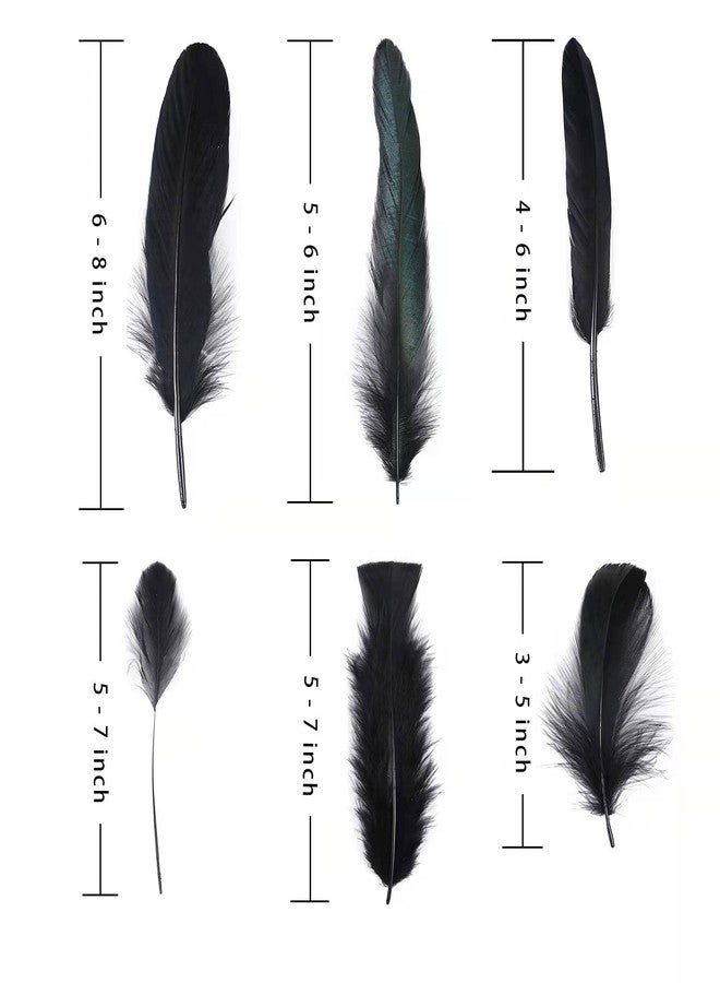 Larryhot Black Craft Feathers Bulk - 240pcs 6 Style Mixed Natural Feathers for Wedding Home Party, Dream Catcher Supplies and DIY Crafts (Black) - Image 4