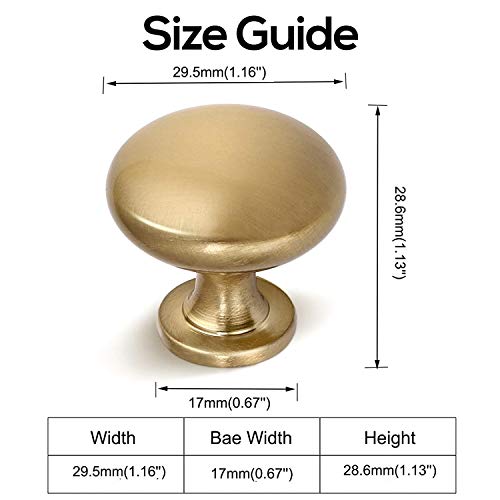 NIZADO 12 Pack Warm Gold Drawer Knob Solid Kitchen Cabinet Hardware,Champagne Bronze Cabinet Knob Antique Brass Dresser Knob Euro Style Furniture Hardware,Diameter:1-1/5 " - Image 4