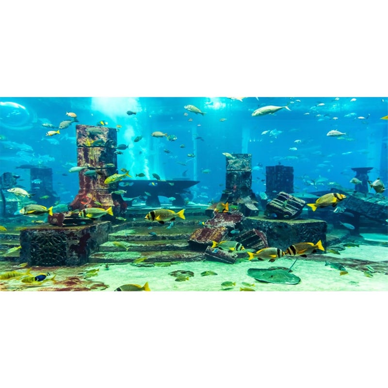 AWERT Undersea Theme Aquarium Background Colorful Coral Tropical Fish Ruins Underwater World Fish Tank Background 48x24 inches Vinyl - Image 1