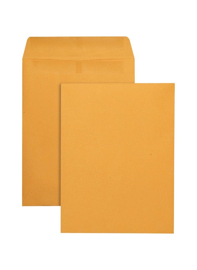 Catalog Envelopes, Redi-Seal, Brown Kraft, 9.5 X 12.5, 250 Per Box, (43662) - pzsku/Z105475CC8928C78A4174Z/45/_/1731922049/114f9718-7b61-4b51-967b-536c7f708909