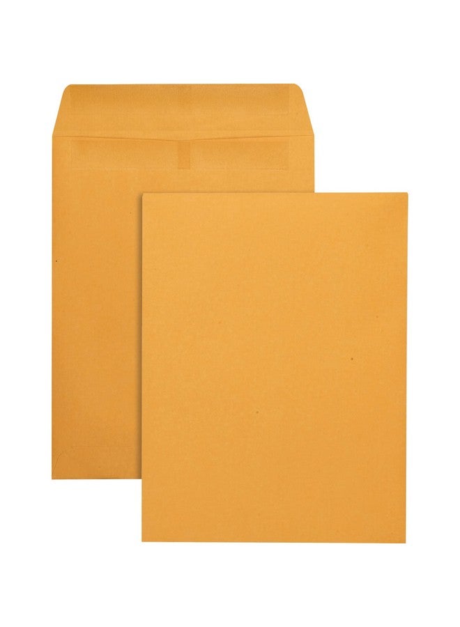 Quality Park Catalog Envelopes, Redi-Seal, Brown Kraft, 9.5 X 12.5, 250 Per Box, (43662) - Image 4