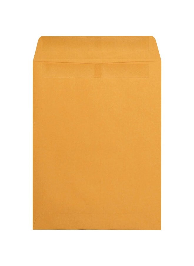 Catalog Envelopes, Redi-Seal, Brown Kraft, 9.5 X 12.5, 250 Per Box, (43662) - pzsku/Z105475CC8928C78A4174Z/45/_/1731922157/13f0658e-a091-406f-a555-29af321ef7b0