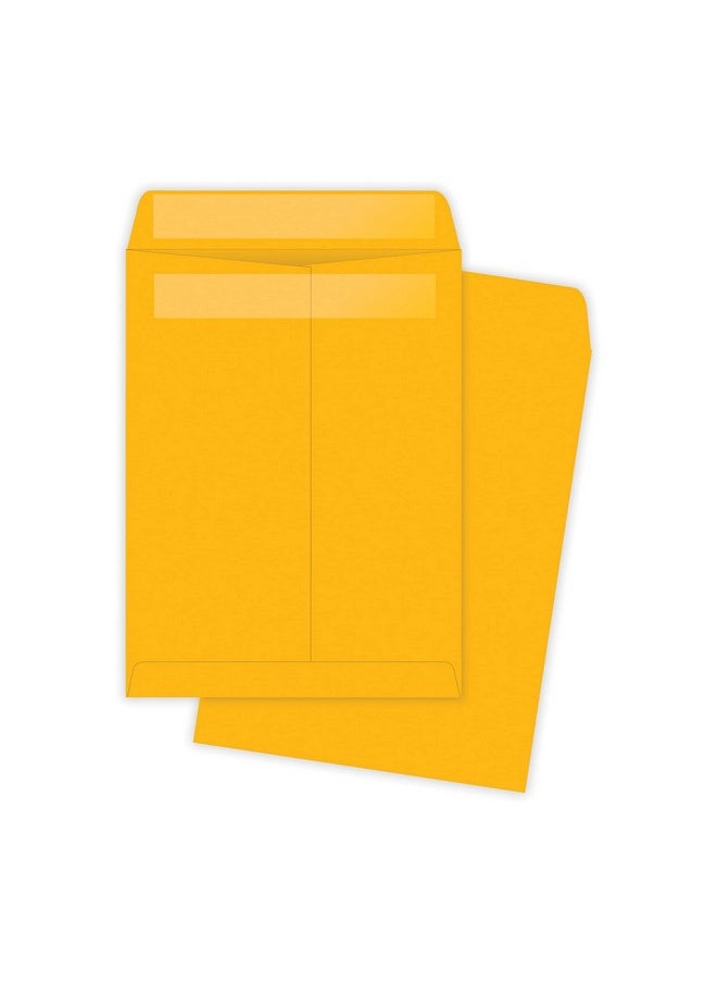 Catalog Envelopes, Redi-Seal, Brown Kraft, 9.5 X 12.5, 250 Per Box, (43662) - pzsku/Z105475CC8928C78A4174Z/45/_/1731922279/ba4d1ba0-e40f-41ff-8478-17a0166f04ea