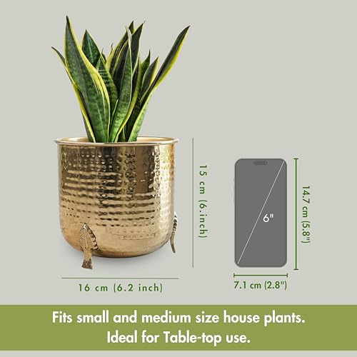 BEHOMA Metal Hammered Planter for Home Decor | Decorative for Indoor Outdoor Balcony Living Room | Table Decorative Plant Pot for Gifting | Size Height- 6" x Dia. 6" inch | Golden (Plant Not Included) - Image 3