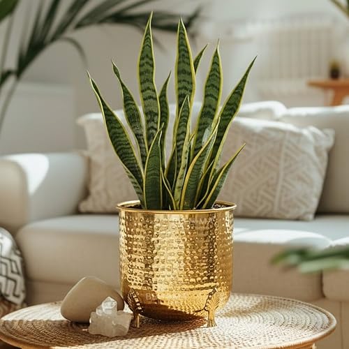 BEHOMA Metal Hammered Planter for Home Decor | Decorative for Indoor Outdoor Balcony Living Room | Table Decorative Plant Pot for Gifting | Size Height- 6" x Dia. 6" inch | Golden (Plant Not Included) - Image 1