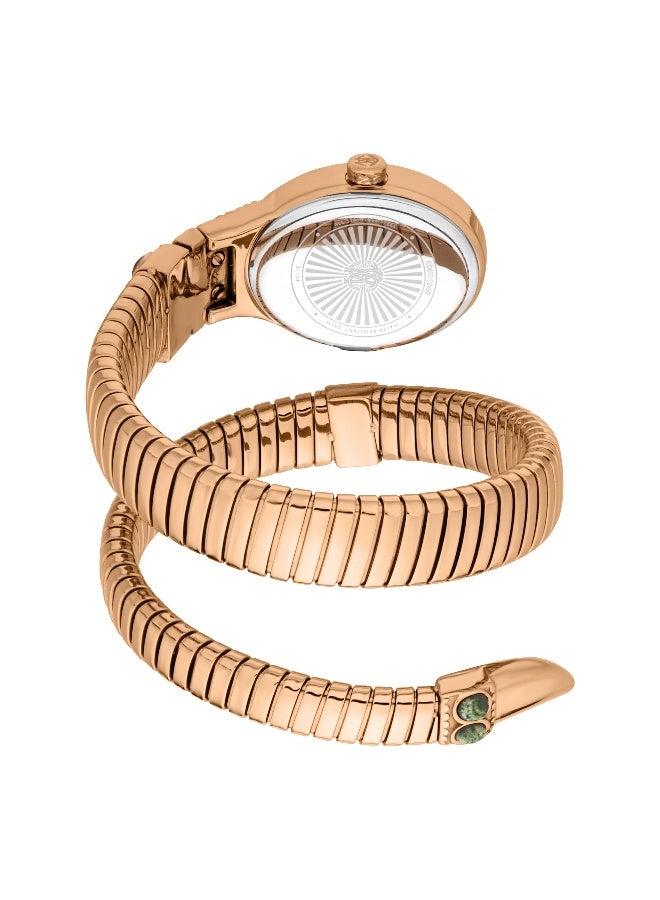 roberto cavalli روبرتو كافالي RC5L104M0045 - ساعة كوارتز نسائية من الفولاذ المقاوم للصدأ 3 عقارب - Image 3