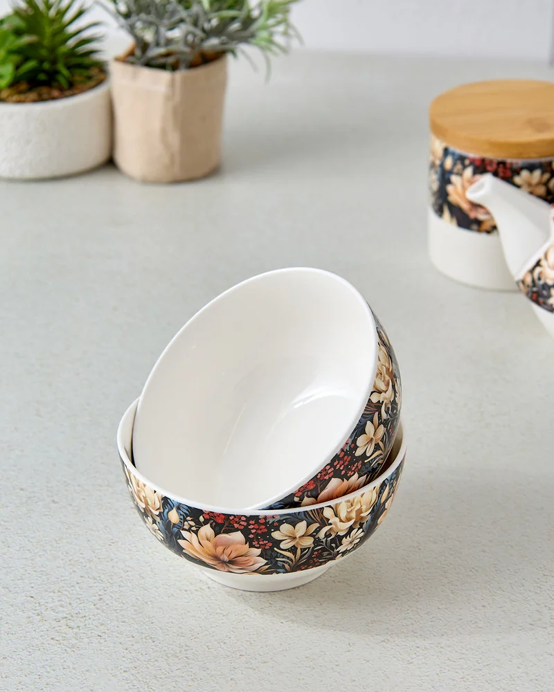 REDTAG Multicolor Printed Bowl Set (2 Piece)