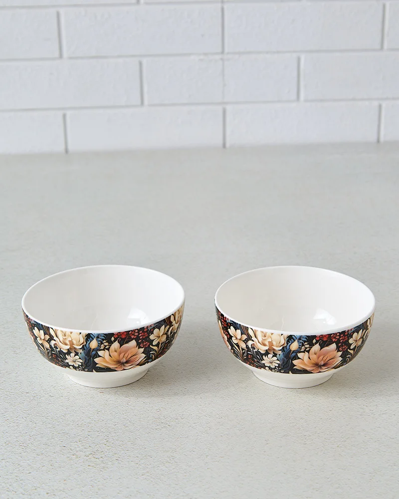 REDTAG Multicolor Printed Bowl Set (2 Piece)
