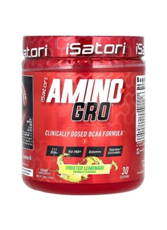iSatori Isatori, Amino-Gro, Frosted Lemonade, 10.6 oz (300 g)  - Image 1