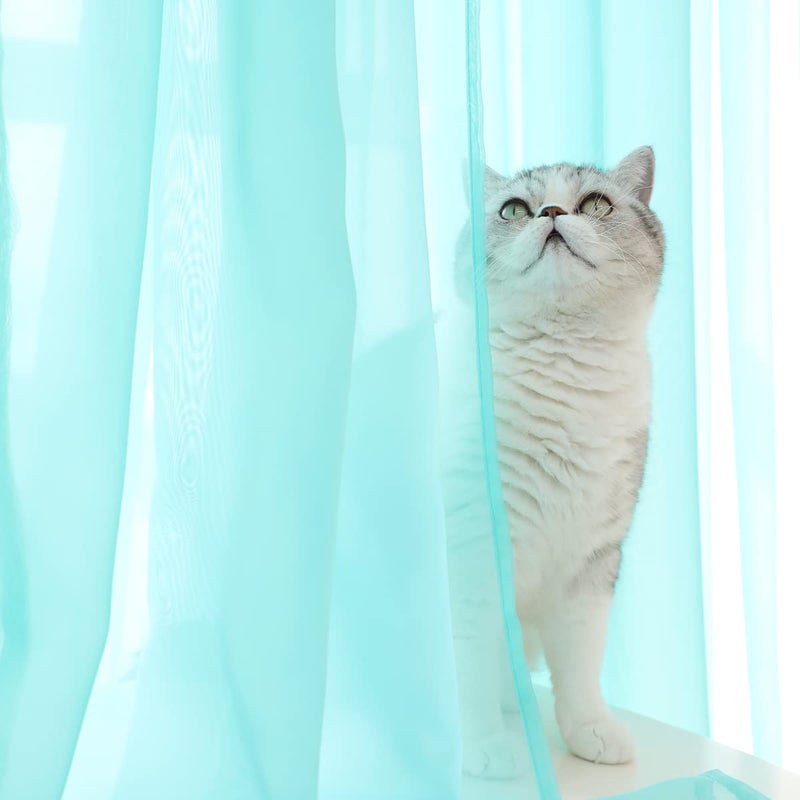 Mianbo Lake Blue Sheer Curtains 84 Inches Length 2 Panels Set Window Sheer Curtains Basic Rod Pocket For Bedroom Children Living Room Yard Kitchen - Image 2