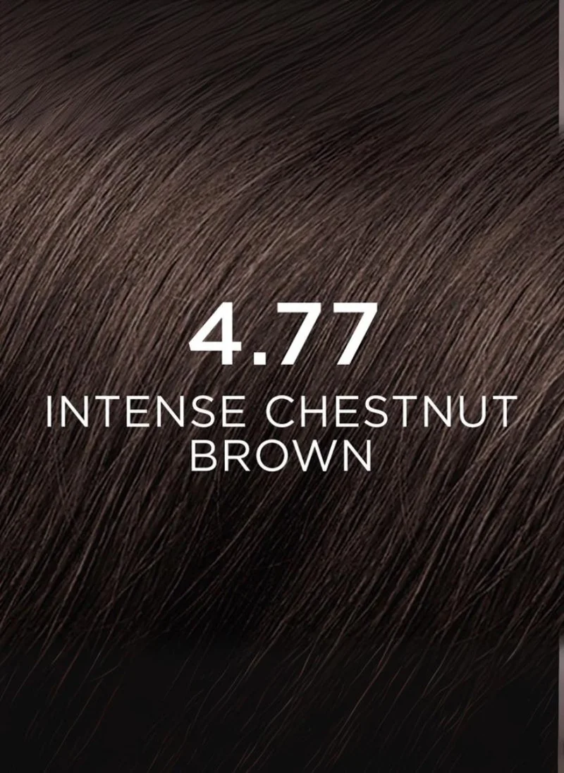 Phyto Phytocolor 4.77 intense chestnut brown