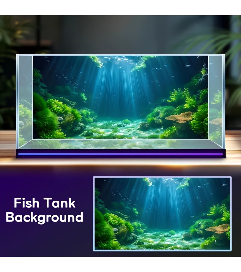 Sunshine Seagrass Underwater Ocean Scene Aquarium Background Sticker 39x19inch HD PVC - Image 4