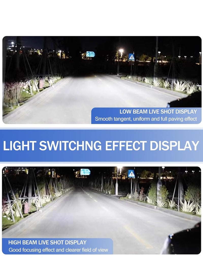 Loquat 4-Piece High-Performance Halogen Headlight Bulbs – Clear Vision with UV-Resistant Quartz Glass and Plug u0026 Play Design - Image 5