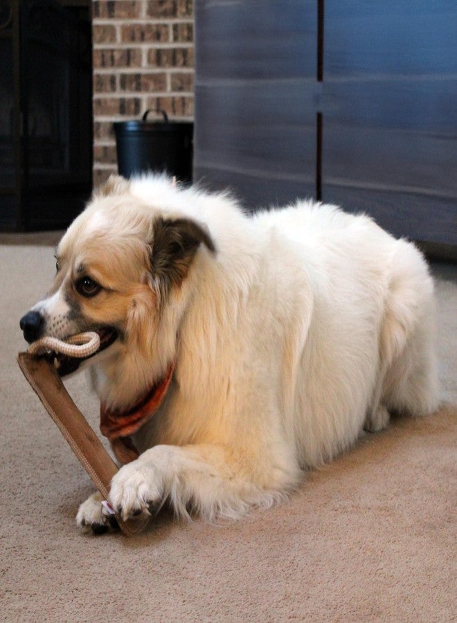 سبوت لعبة SPOT Dura-Fused Leather Retriever للكلاب - جلد طبيعي وقماش الجوت، خياطة مزدوجة ومتينة، لعبة شد تفاعلية تصدر صوت صرير مع مقبض حبل للكلاب التي تمضغ بشكل معتدل، لعبة جلب محشوة ناعمة، 15 بوصة - Image 5