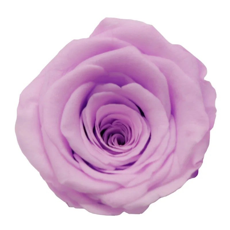 Bluejw High Quality First Grade Handmade Preserved Eternal Rose Bouquet – Budget-Friendly Dried Plants Decorative Flowers for Mother's Day, Long-Lasting Shaped Arrangement - Image 1