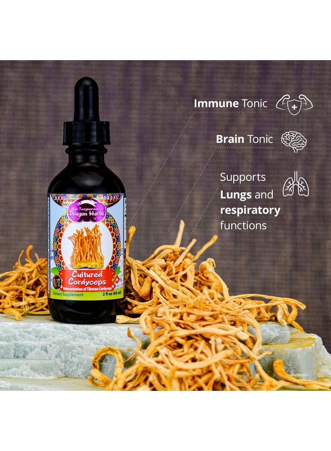 Dragon Herbs - Cultured Cordyceps Drops - 2 fl oz - Image 2