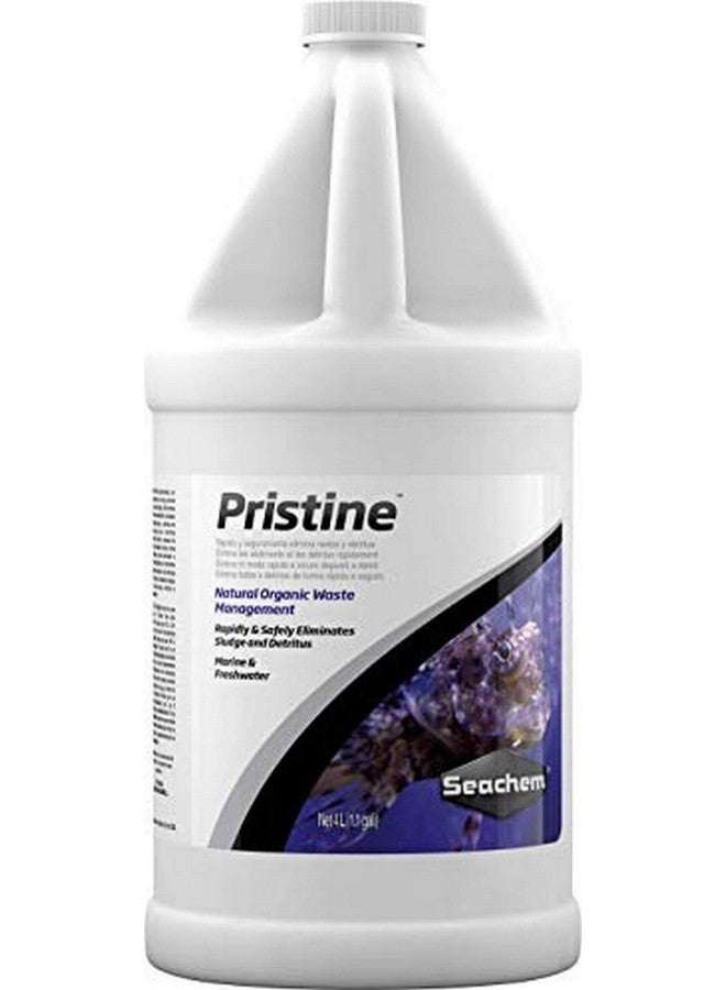 سي تشيم سيشيم بريستين لإدارة النفايات الطبيعية - مزيل الرواسب العضوية والمخلفات سعة 4 لتر (28629) - Image 1