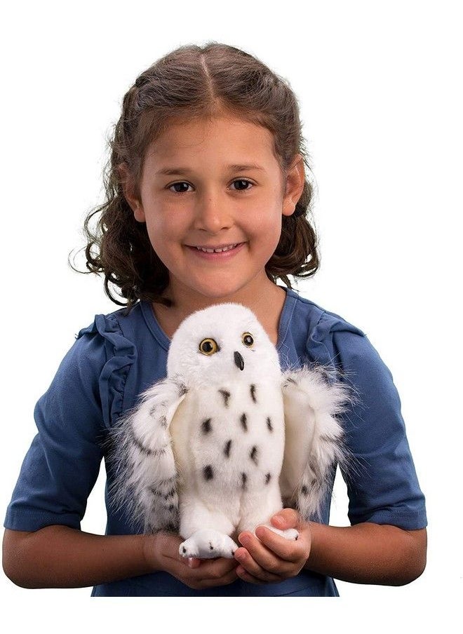 Douglas Wizard Snowy Owl Plush Stuffed Animal  - Image 3