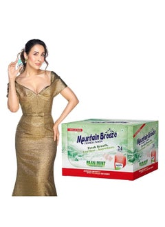 Mountain Breeze Oral Hygiene Mouth Freshener Sugar Free Paanmint Flavoured Breath Strips (24 Strips Each Cassatte)-Pack Of 1(24 Cassette)  - Image 1