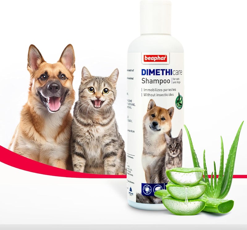 beaphar Market diverse application fit Cat and Dog Shampoo Dimethicare with Aloe Vera - 200 ML Durable versatile substance - Image 1