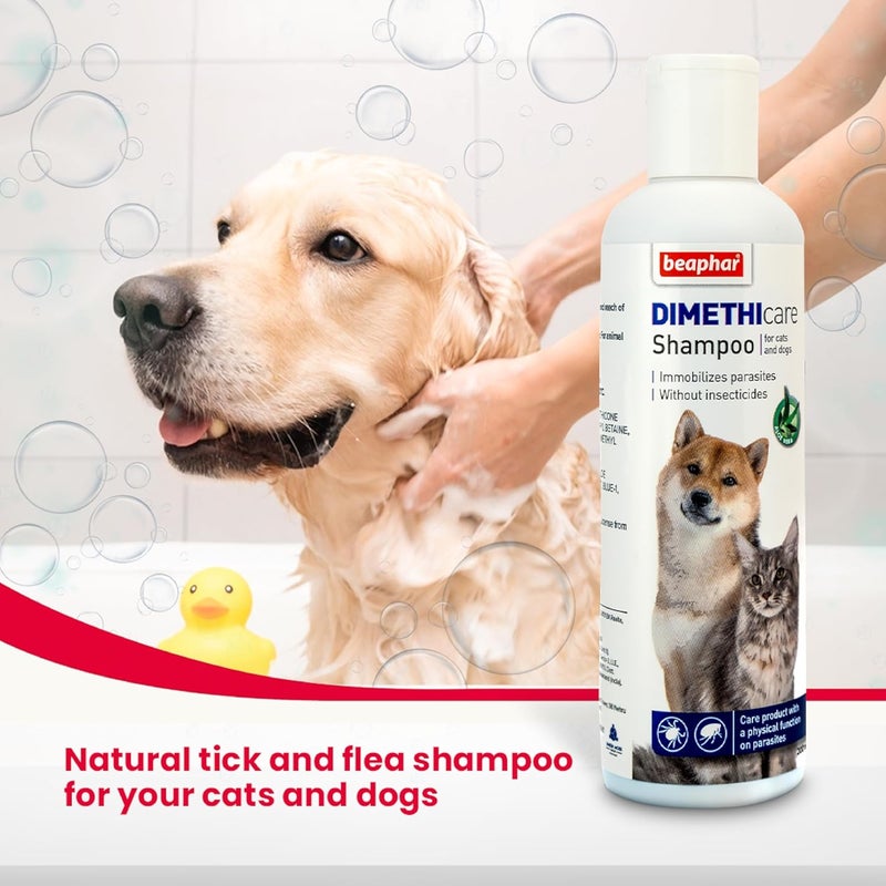 beaphar Market diverse application fit Cat and Dog Shampoo Dimethicare with Aloe Vera - 200 ML Durable versatile substance - Image 3
