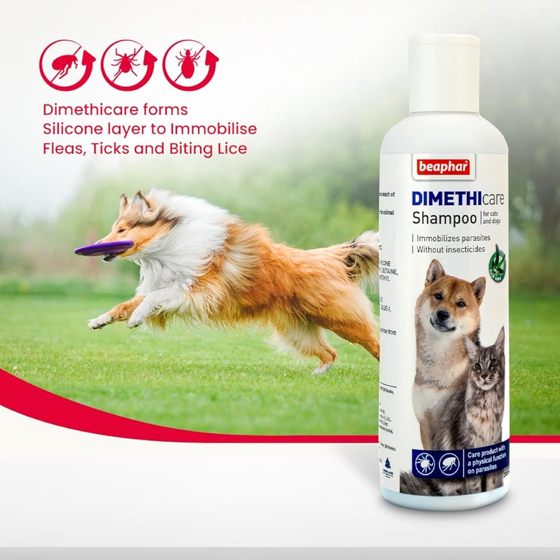 beaphar Market diverse application fit Cat and Dog Shampoo Dimethicare with Aloe Vera - 200 ML Durable versatile substance - Image 4