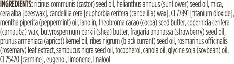 Burt's Bees Lip Shimmer in Guava - 0.09 Ounce - Image 4