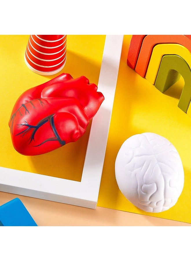 Hungdao Anatomy Stress Toy Set 2 Pieces Heart Stress Balls With Squishy Brain Pu Foam Stress Ball Zombie Fake Healthcare Anatomy Stress Ball For Relief Stress - Image 4