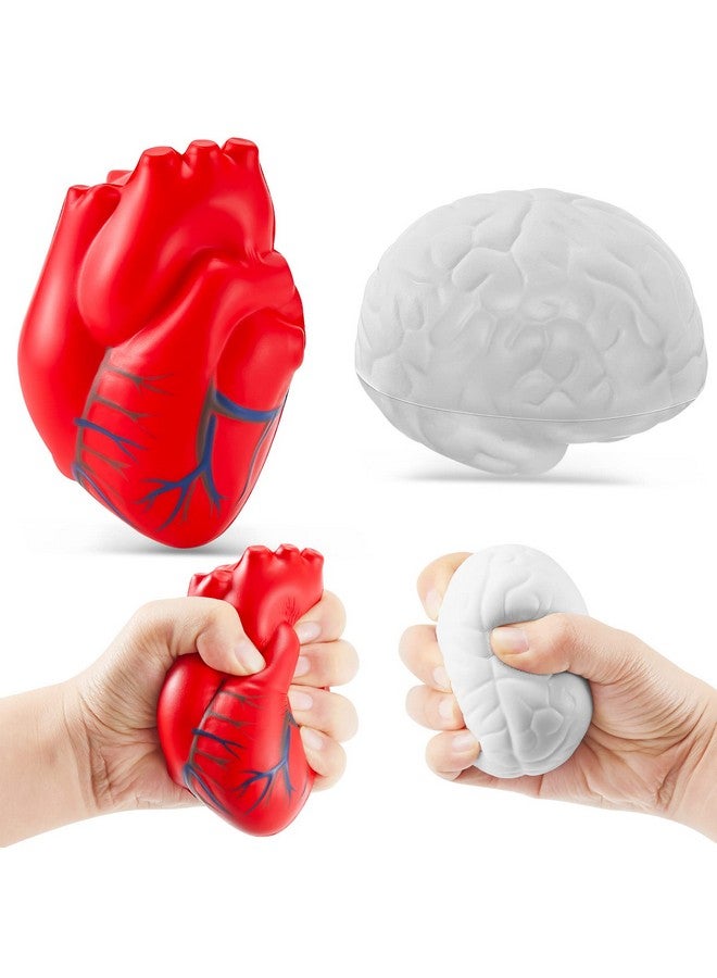 Hungdao Anatomy Stress Toy Set 2 Pieces Heart Stress Balls With Squishy Brain Pu Foam Stress Ball Zombie Fake Healthcare Anatomy Stress Ball For Relief Stress - Image 2