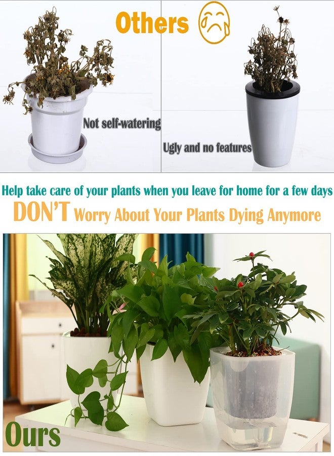 Planterhoma 3-Pack Clear Self Watering Planters for Indoor Plants 7" Large African Violet Plant Pots Plastic Wick Flower Pots with Water Injection Hole, Orchid Plant Pot Set, Clear - Image 5