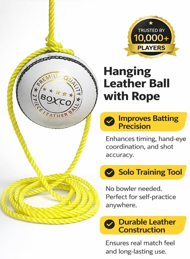 BOXCO Practice Hanging Cricket Ball Leather | Standard Size White Practice Knocking Ball for Batting (7 ft Cord Included) - Image 3