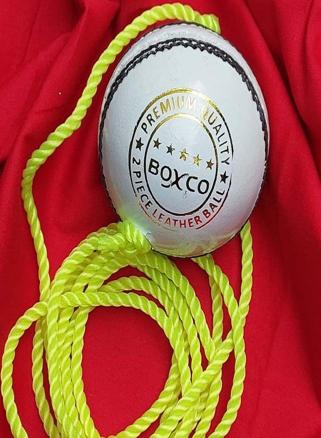 BOXCO Practice Hanging Cricket Ball Leather | Standard Size White Practice Knocking Ball for Batting (7 ft Cord Included) - Image 1