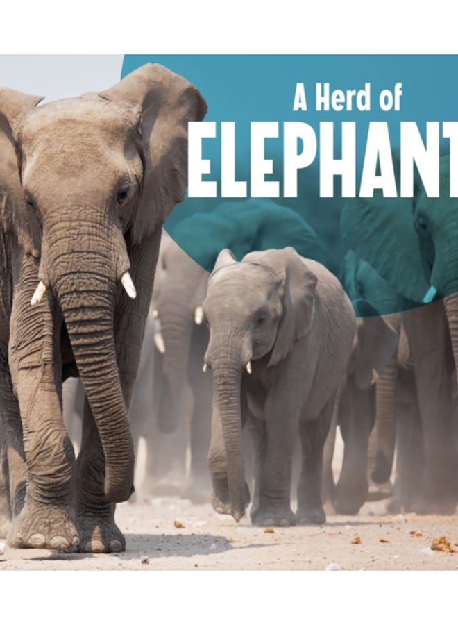 A Herd of Elephants