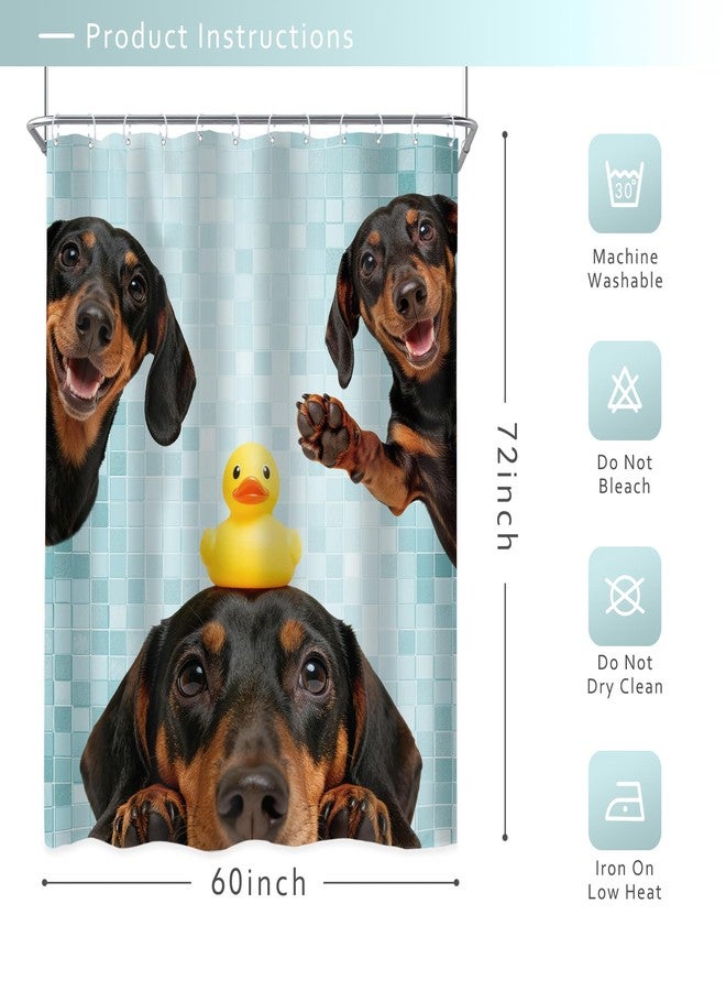 Riyidecor Funny Dog Shower Curtain 60Wx72H Inch Kids Cute Dachshund Dog are You Pooping Lovely Animal Fun Rubber Duck Pets Hilarious Bathroom Decor Fabric Polyester Waterproof 12 Pack Hooks - Image 5