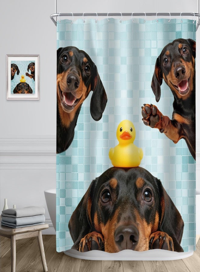 Riyidecor Funny Dog Shower Curtain 60Wx72H Inch Kids Cute Dachshund Dog are You Pooping Lovely Animal Fun Rubber Duck Pets Hilarious Bathroom Decor Fabric Polyester Waterproof 12 Pack Hooks - Image 3