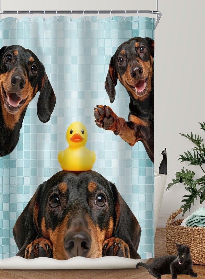Riyidecor Funny Dog Shower Curtain 60Wx72H Inch Kids Cute Dachshund Dog are You Pooping Lovely Animal Fun Rubber Duck Pets Hilarious Bathroom Decor Fabric Polyester Waterproof 12 Pack Hooks - Image 1