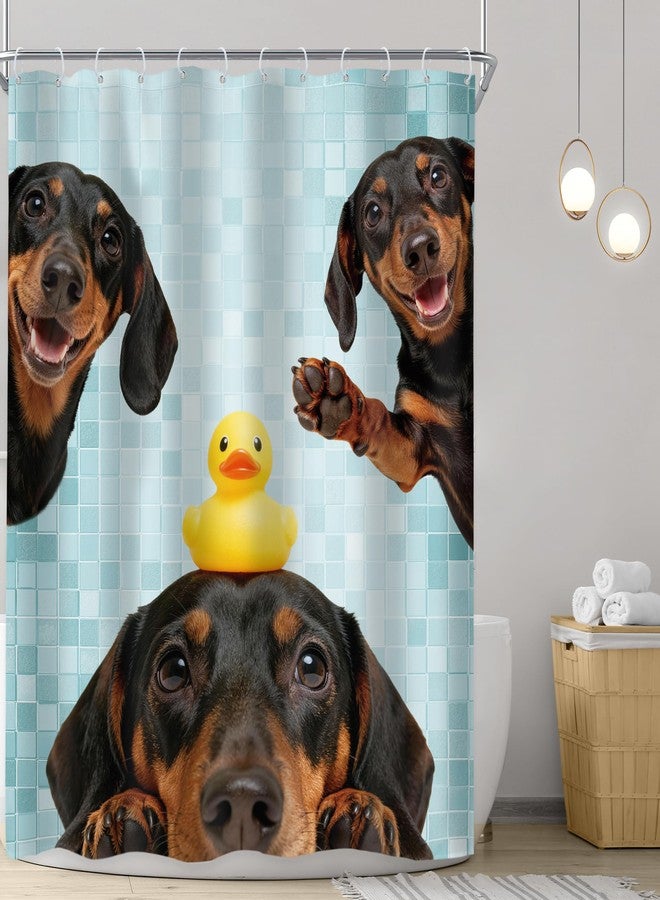 Riyidecor Funny Dog Shower Curtain 60Wx72H Inch Kids Cute Dachshund Dog are You Pooping Lovely Animal Fun Rubber Duck Pets Hilarious Bathroom Decor Fabric Polyester Waterproof 12 Pack Hooks - Image 2