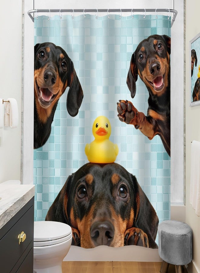 Riyidecor Funny Dog Shower Curtain 60Wx72H Inch Kids Cute Dachshund Dog are You Pooping Lovely Animal Fun Rubber Duck Pets Hilarious Bathroom Decor Fabric Polyester Waterproof 12 Pack Hooks - Image 4