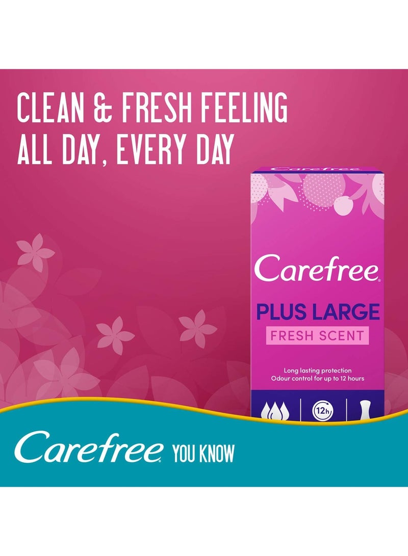 Carefree Two Pieces of Daily Panty Liners Large Fresh Scent 20 Count - Image 5