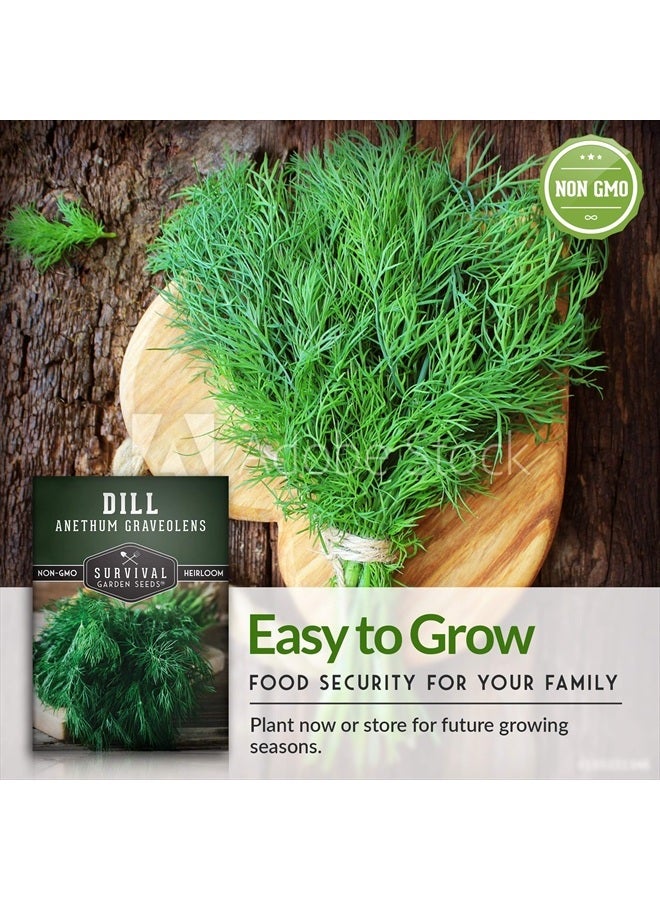SURVIVAL GARDEN SEEDS Survival Garden Seeds Herb Collection Seed Vault - Parsley, Cilantro, Basil, Lemon Balm, Dill - Non-GMO Heirloom Survival Garden Seeds for Planting - Grow Herbs Indoors Year Round  - Image 2