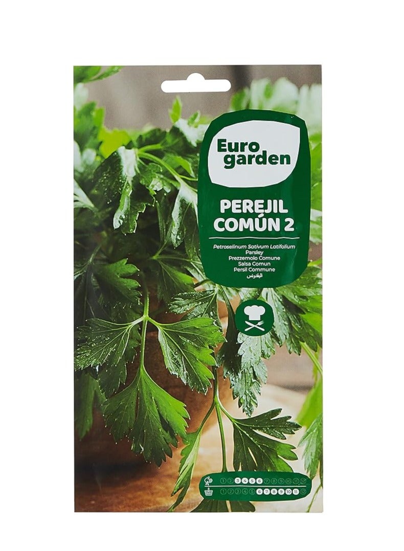 Generic Euro Garden Common Parsley 2 Eco Seeds 15 g, Multicolor 