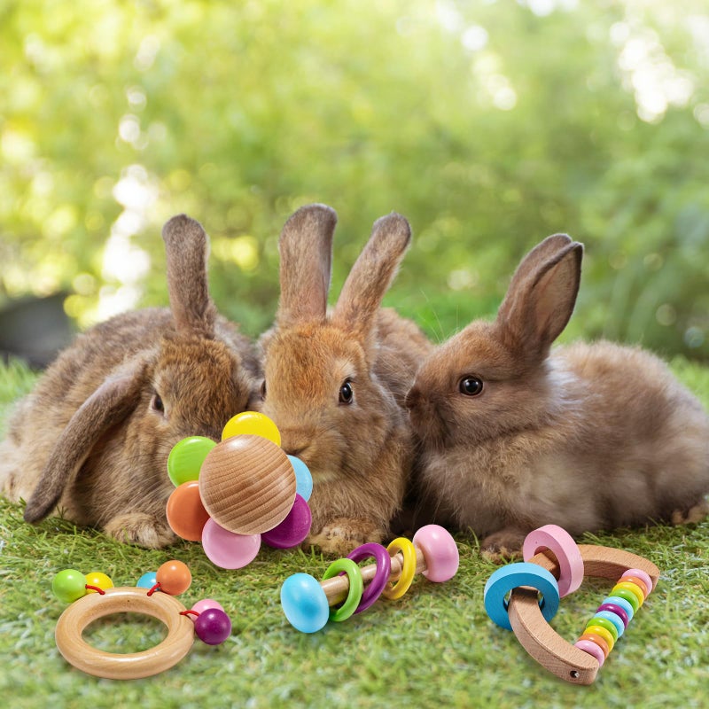 AOWPFVV 4 Pcs Wooden Bunny Toys - Safe Rabbit & Guinea Pigs Teeth Grinding Toys for Chinchillas, Hamsters & Small Animals - Indoor & Outdoor - Image 5