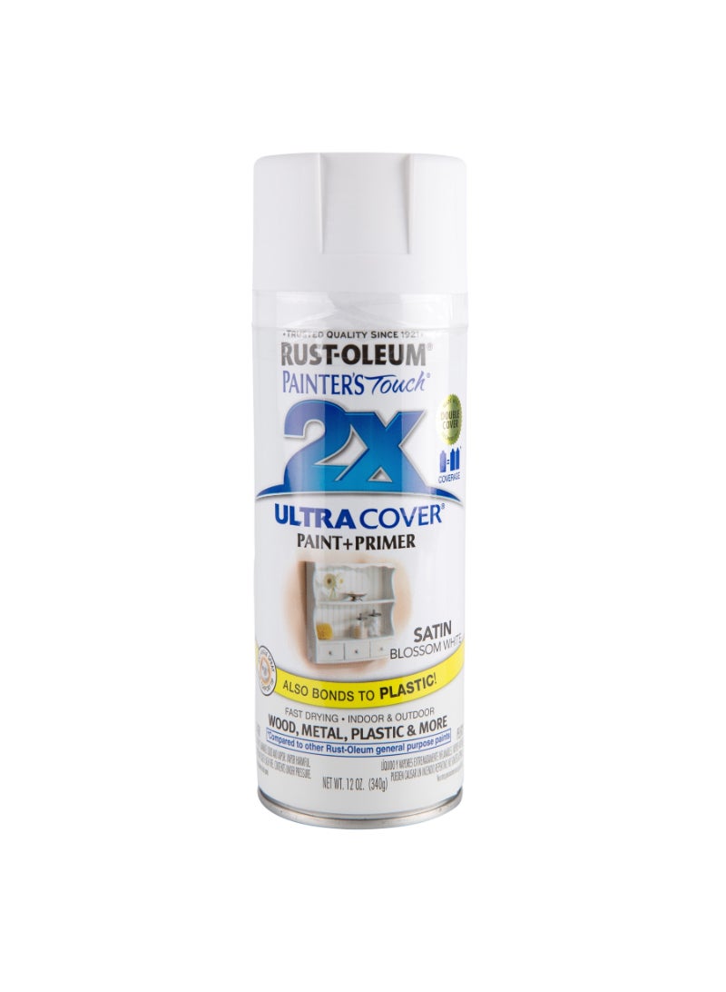 RUST-OLEUM Rustoleum Painter’s Touch 2X Ultra Cover (340 g, White)