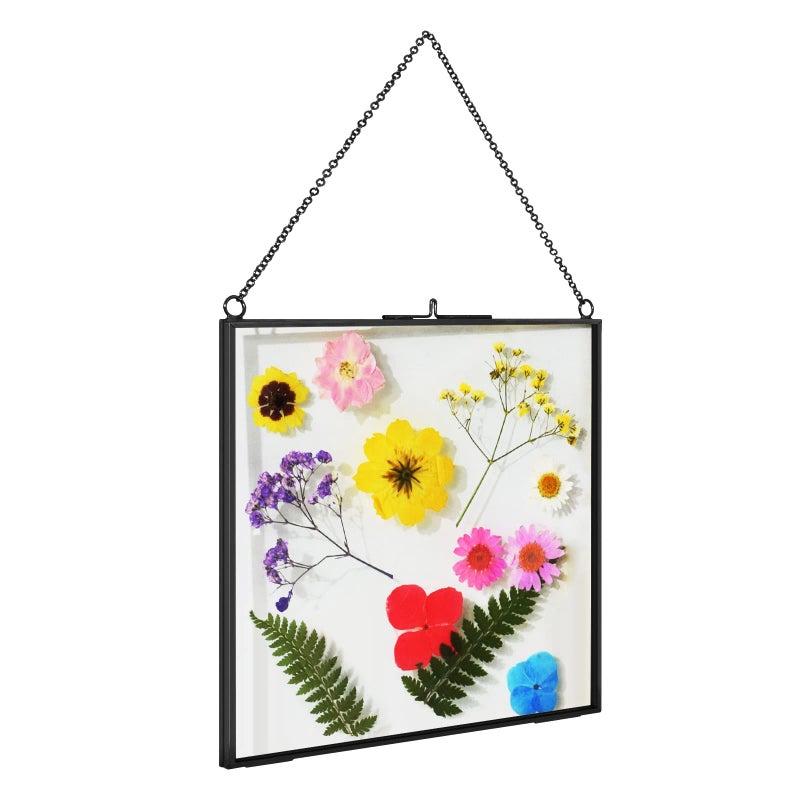 TLBTEK Black 8x8 inch Brass Hanging Photo FrameDouble Glass Frame for Pressed FlowersClear DIY Vintage Artwork Display Frame Wall Mounted Photos Frame