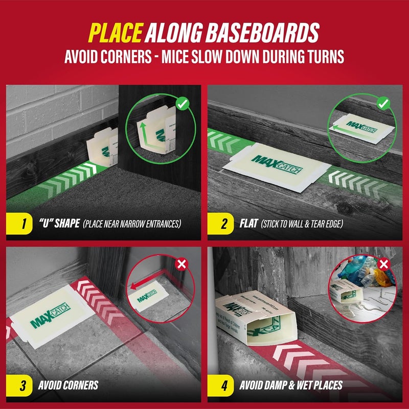 Catchmaster MAX-Catch Pest Glue Trap White by - 36 Boards Unscented, Ready to Use Indoors. Rodent Mouse Rat Insect Sticky Adhesive Simple Easy Simple Non-Toxic - Made in USA - Image 5