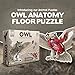 Genius Games Owl Animal Anatomy Floor Puzzle  100Piece Double Sided Jigsaw Puzzle  LargeSized Over 3 Feet Scientifically Accurate Illustration  Fun and Educational Toy for Kids Toddlers and Families - Image 4