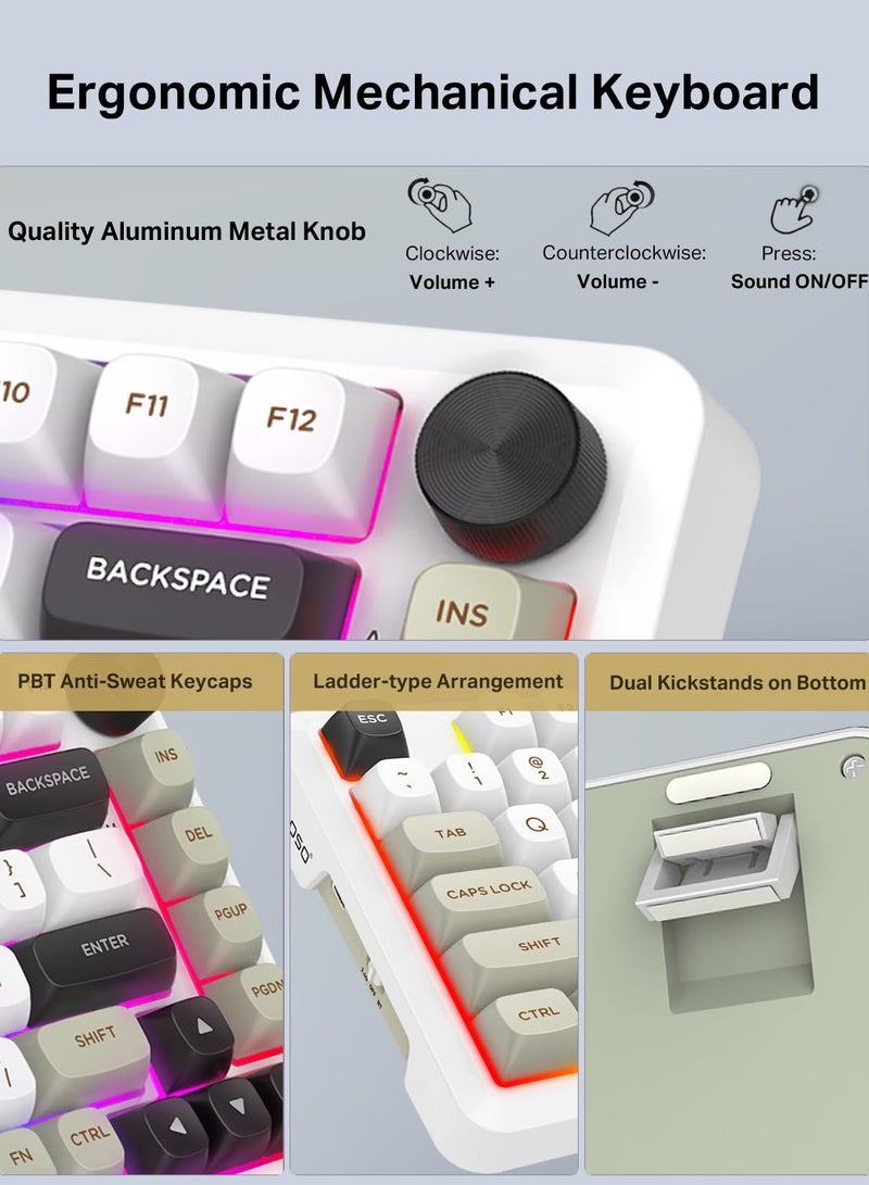 E-YOOSO Z82 Wireless Mechanical Keyboard, 75% Gasket Hot Swappable RGB Gaming Keyboard, 3-Modes 81 Keys Compact Mechanical Keyboard with Dedicated Knob Control and Sound Absorbing Pads, PBT Keycaps  - Image 5